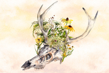 watercolor background deer skull with summer wildflowers - 220017728