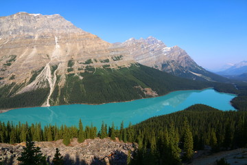 Lac Peyto