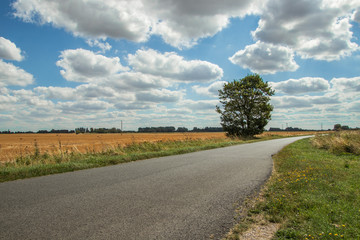 road side field