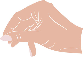 vector image of female palm