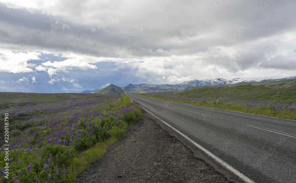 Wall mural asphalt road through valley in empty rural northern landscape with green grass and hills, colorful s