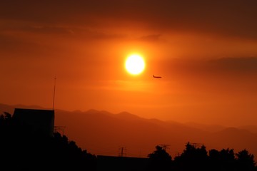 volando en el atardecer 