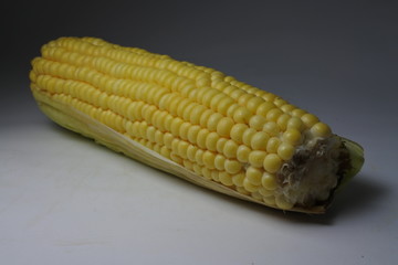 Whole corn cob