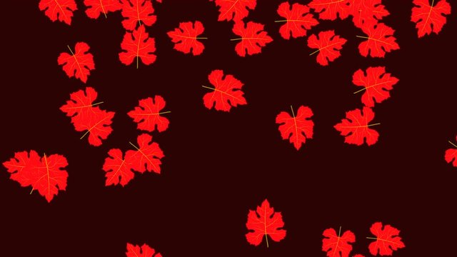 Red autumn maple leaves falling down on a dark red background computer rendered 4k