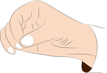 vector image of male palm