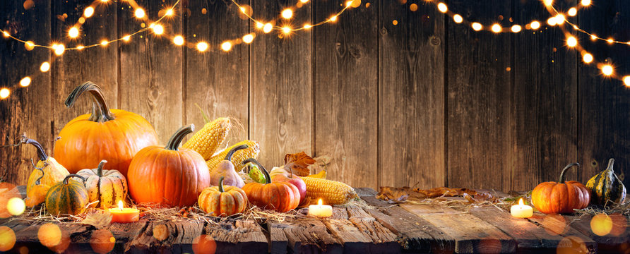Thanksgiving With Pumpkins And Corncob On Wooden Table
