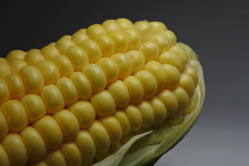 Sweet corn back