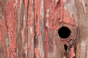 Detail of old, peeling red paint on small, wood out building background