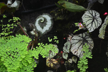 Singapore Cloud Forest, Singapore, Asia