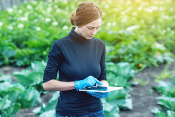 Woman specialist agronomist holding a tablet. Concept of agricultural farms and quality control