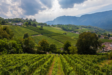 Fototapeta na wymiar Trentino alto adige panorama