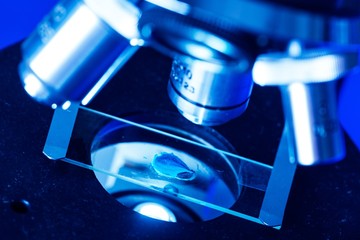 Closeup of Microscope Lenses and Slide