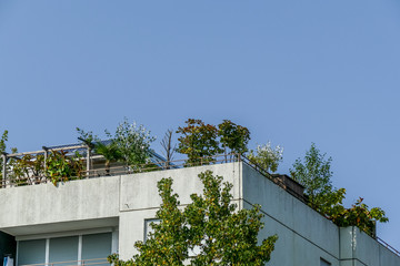 Pflanzen und Blumenkästen auf dem Balkon