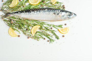 Raw sardines on a table with ice and spices. View from above.