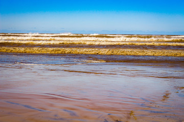 Natureza no litoral