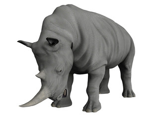 Naklejka premium nosorożce odkrywają okolice