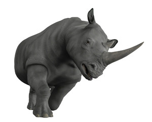 Fototapeta premium nosorożce odkrywają okolice