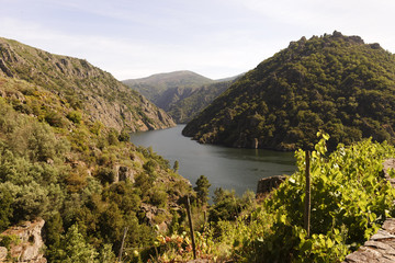 Fototapeta na wymiar Sil Canyon, Sober (Lugo), Spain. August 25, 2018: Panoramic view of river Sil canyon and Ribeira Sacra valley landscape in Galicia. The area is famous for its scenery and terraced vineyards.