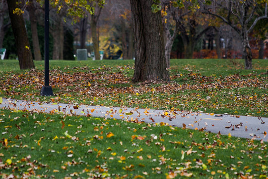 Autumn Wind Blowing Leaves Across The Bicycle Path In Verdun, (Montreal), Canada