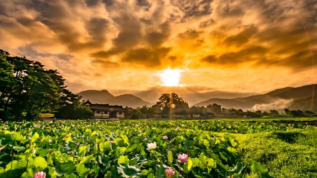 Sunrise of Asan Oeam village where lotus flower blooms beautifully. Power Panning.