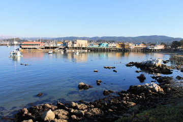 Fototapeta na wymiar Monterey California Landscape