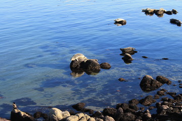 Monterey California Crystal Water