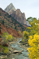 The Virgin River cuts through a canyon lined in fall colors in Zion National Park, UT.