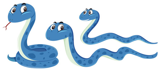 A set of blue snake - obrazy, fototapety, plakaty