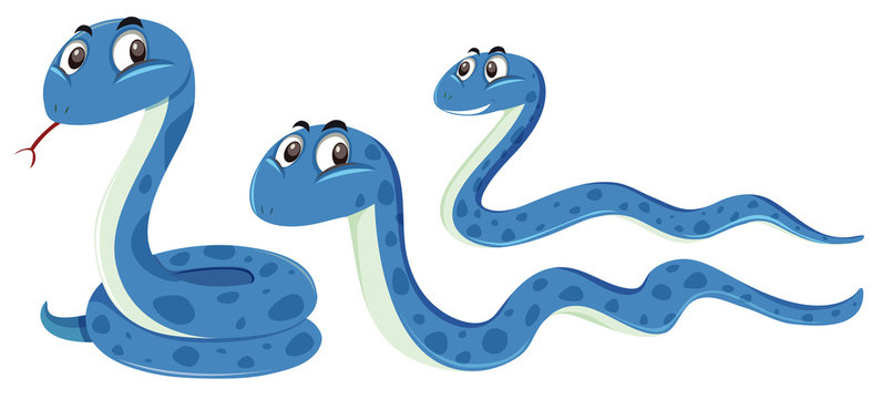 A set of blue snake