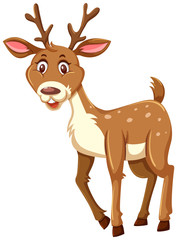 A cute deer on white background