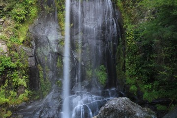 Fototapeta na wymiar ゆうすい自然の森の滝と川