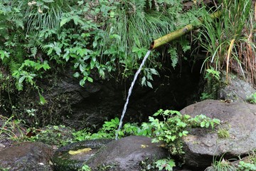 ゆうすい自然の森の水飲み場