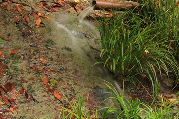 ゆうすい自然の森の水飲み場