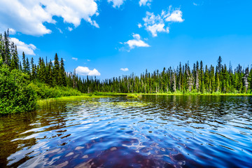 The clear water of McGillivray Lake, a high alpine lake near the alpine village of Sun Peaks in the Shuswap Highlands of the central Okanagen in British Columbia, Canada