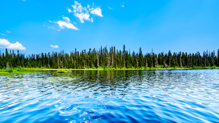 Fototapeta na wymiar The clear water of McGillivray Lake, a high alpine lake near the alpine village of Sun Peaks in the Shuswap Highlands of the central Okanagen in British Columbia, Canada