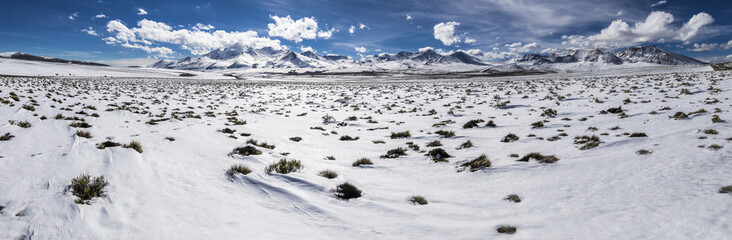Fototapeta na wymiar The great views of Lauca National Park landscapes with its amazing snow meadows over the Chilean altiplano during winter time, Arica, Chile
