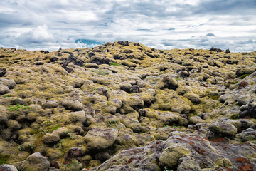 Volcanic mossy covered lava field in Vik ,Iceland.