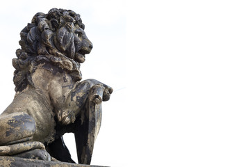 old sculpture of a snarling growling lion, isolated, copy space