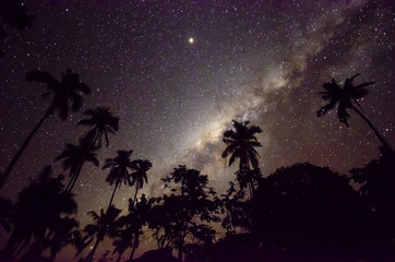 Naklejka premium Milky way over palm trees at Samoa
