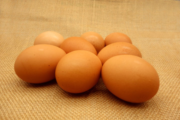 eggs