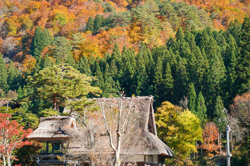 A beautiful fall of UNESCO World Heritage Shirakawago in Gifu, Japan.  ユネスコ世界遺産白川郷の美しき秋　日本岐阜県白川村