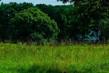 A day at Valley Forge National Historic Park located in Valley Forge, Pennsylvania, USA
