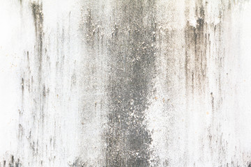 concrete cement wall for background old texture vintage color style