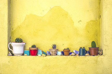 Yellow walls with niche with succulents in Mexico style