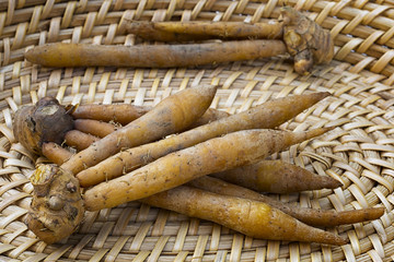 Finger root; Krachai (Boesenbergia rotunda ) in the basket; thai herb