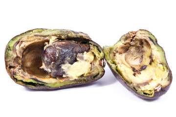 Old avocado with mold on white background, unhealthy food
