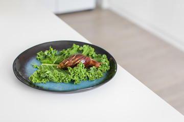 big Achatina snail eats green salad leaves on dark blue plate on white table, selective focus