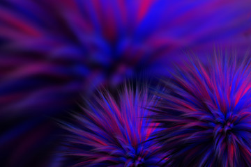3d render of multicolored fluffy Fur Ball