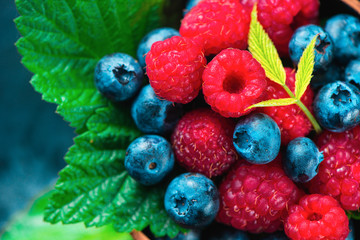 Raspberry and blueberry with green leaves close-up. Summer berry harvest macro top view