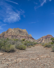 Fototapeta premium Red Rock Canyon